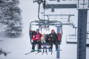 Ski patrollers on chairlift with dogs