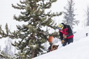 Dog and handler doing training with avalanche probes