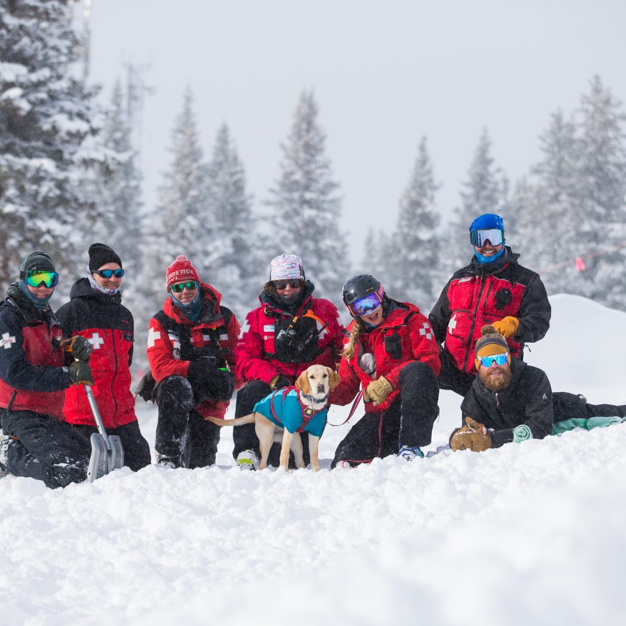 Dog handler group with avalanche puppy in training
