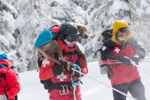 Dog handler with dog on shoulders