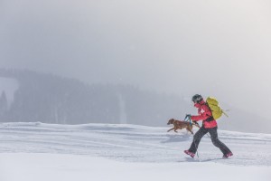 Avalanche dog plus handler walking together in the snow