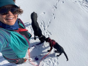 Puppy with adult dog and handler