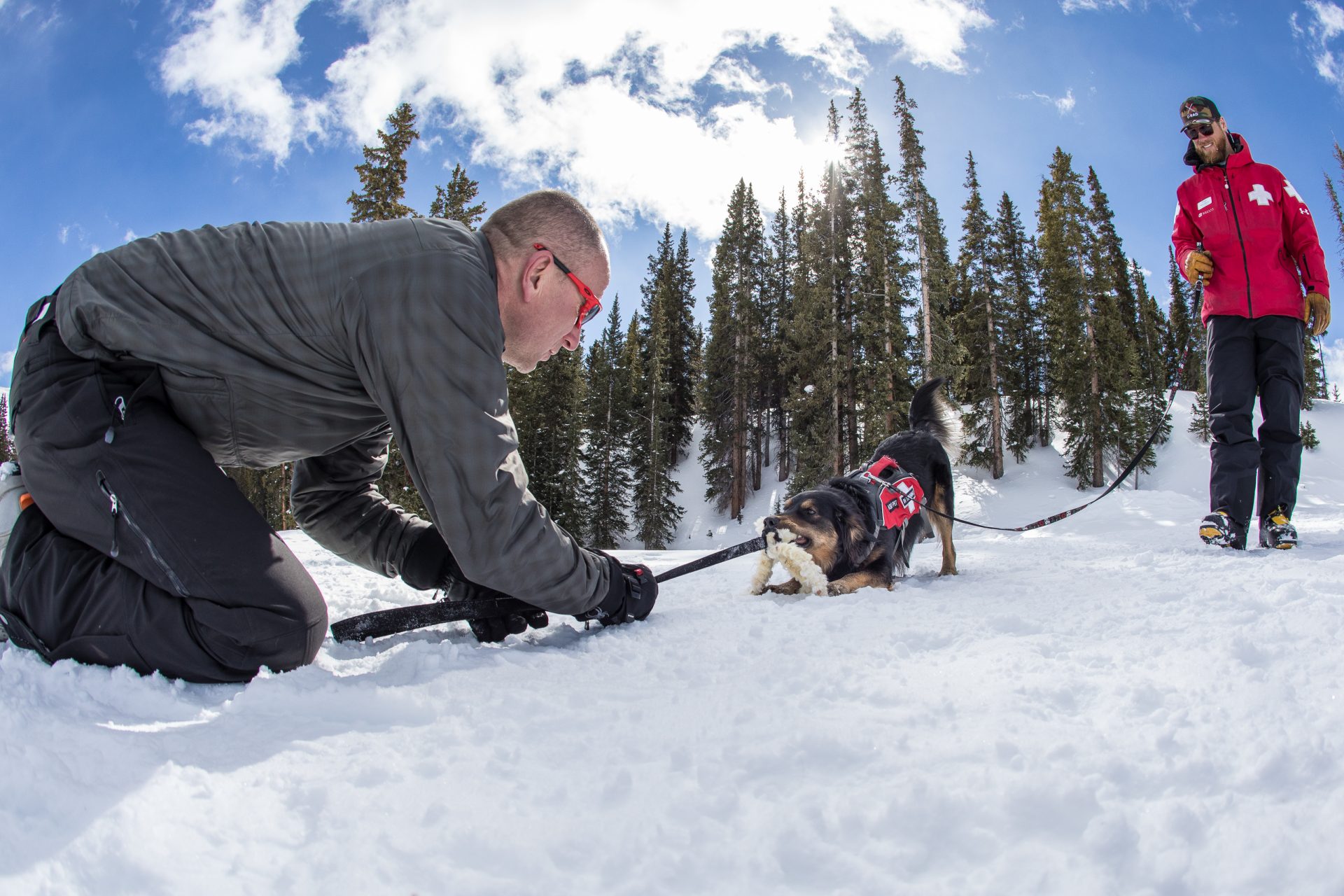 Dog handler instructor playing tug with dog