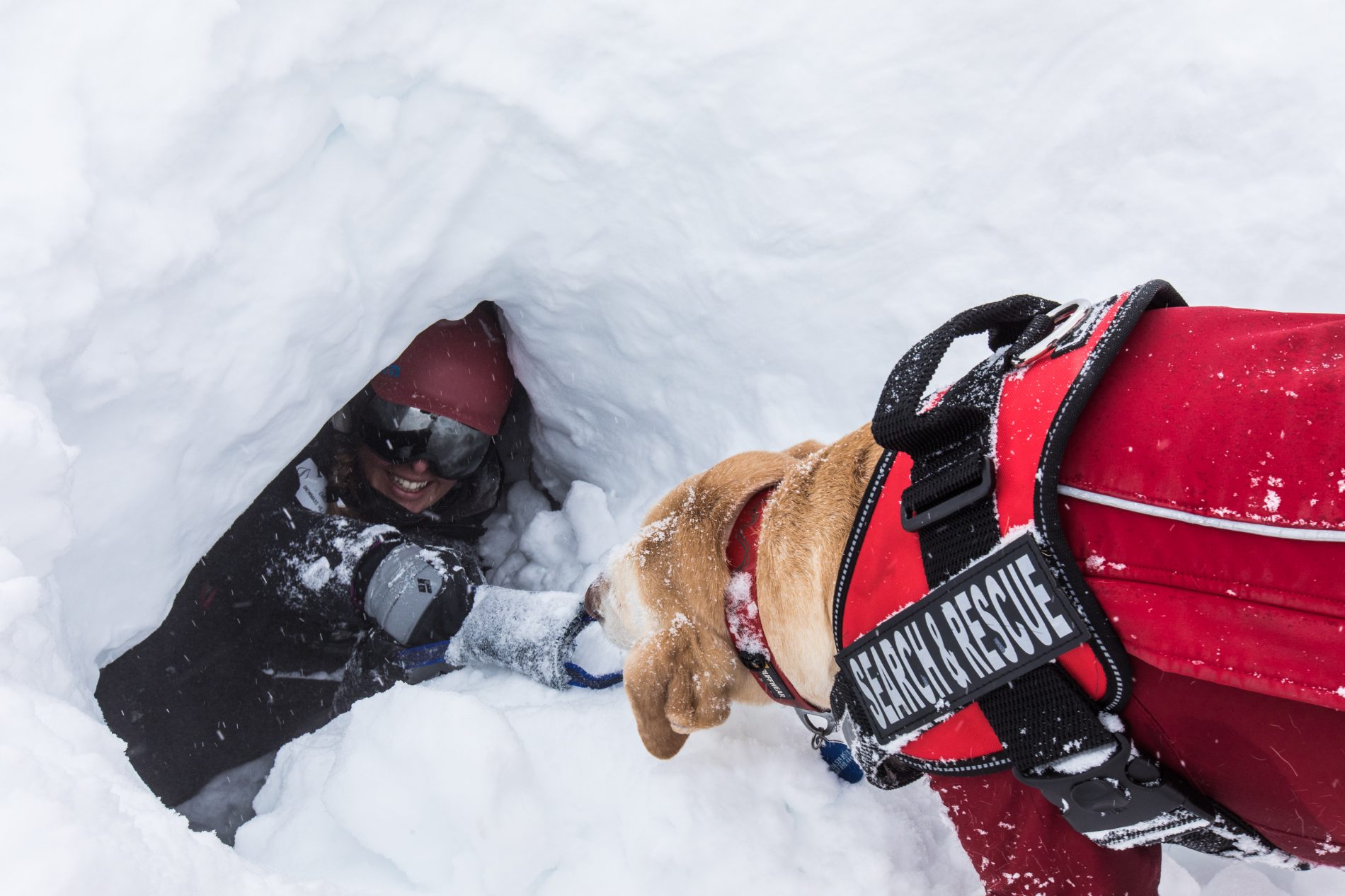 Silverton Avalanche School Courses CRAD Colorado Rapid Avalanche