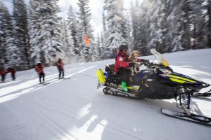 Avalanche dog and handler on snowmobile